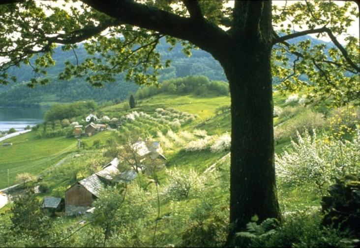 ノールハイムスン Hardanger Feriesenter Nesvikaヴィラ エクステリア 写真